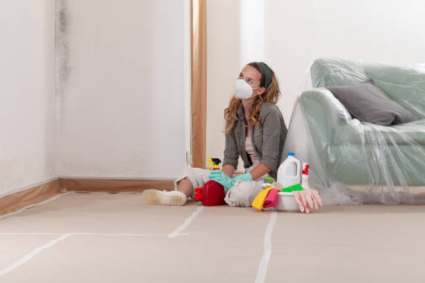 Reliable Mold Testing contractor in Freeman, VA by WQB Mold Removal